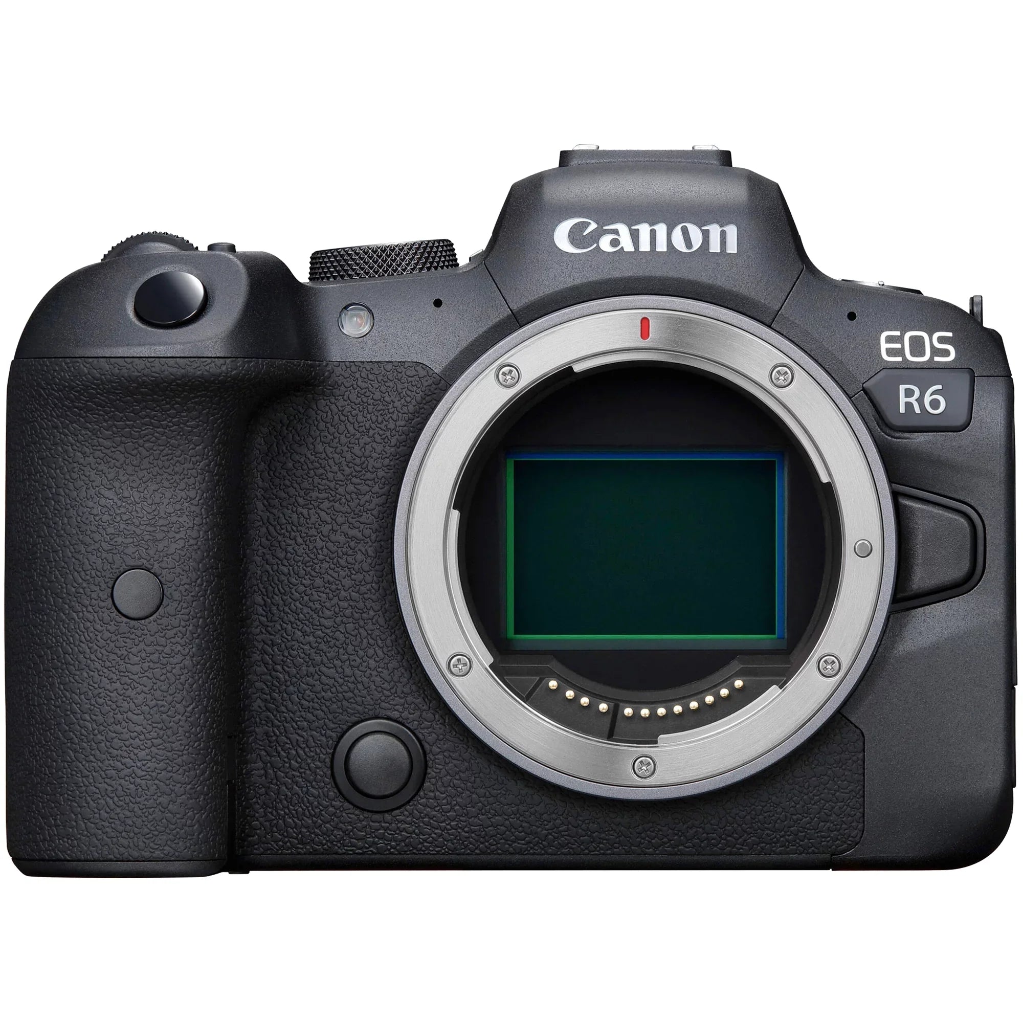 Canon  R6 Mirrorless Digital Camera with  24-105mm  + 75-300mm Lens + SanDisk 128GB Card + Case + ZeeTech Accessory