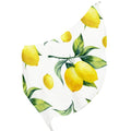 Lemon Silk Long Scarf for Women Large Oblong Sunscreen Shawls Wraps Neck Headscarf Hair Wraps Gift Packed