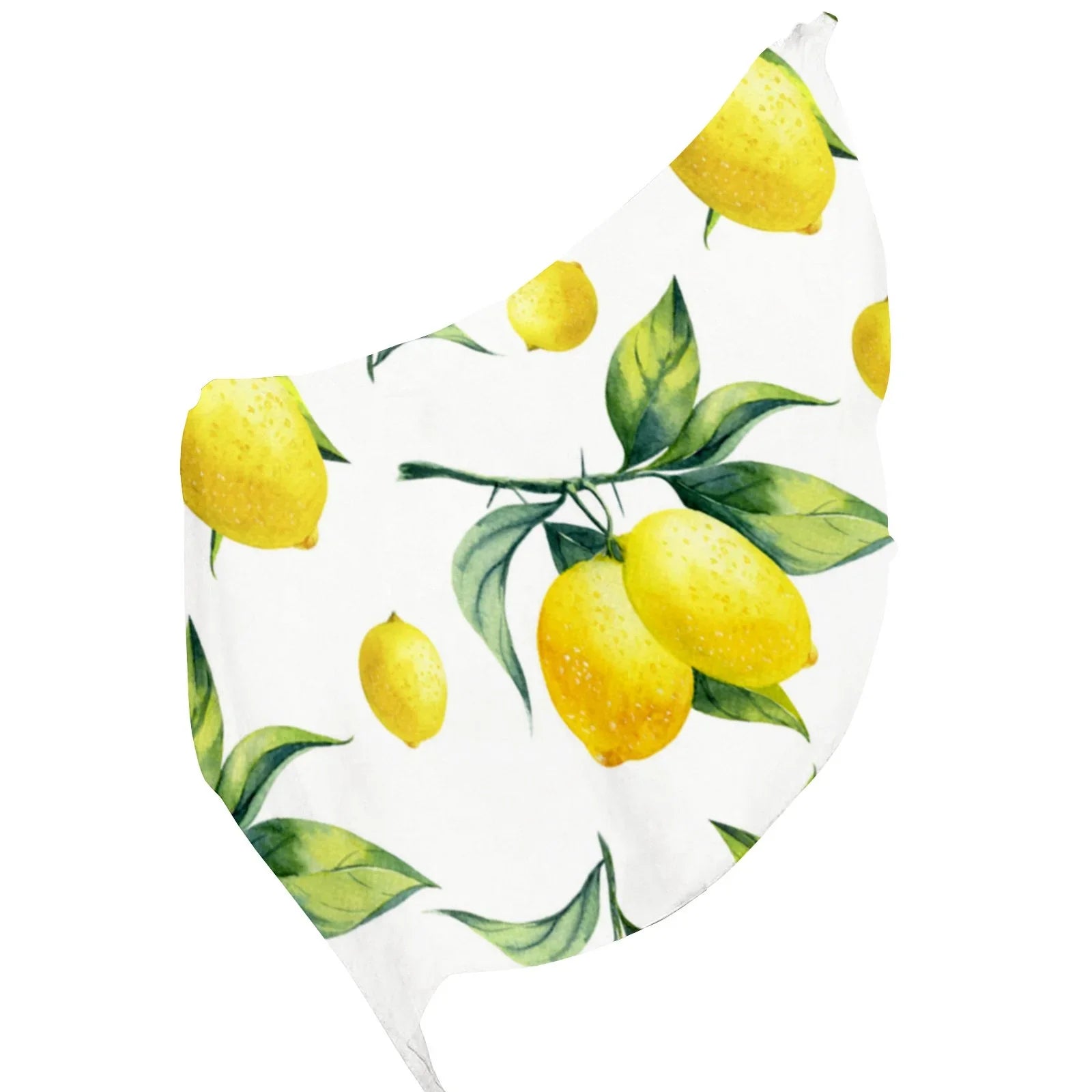 Lemon Silk Long Scarf for Women Large Oblong Sunscreen Shawls Wraps Neck Headscarf Hair Wraps Gift Packed