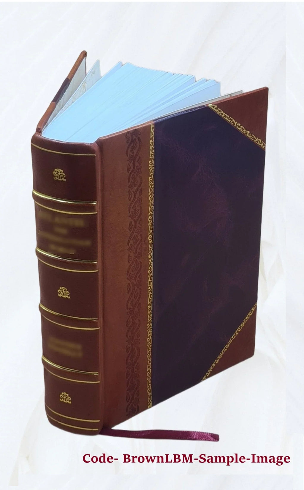 De claris Legum Interpretibus cura D.G. Hoffmanni. 1721 [Leather Bound]