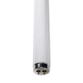 Replacement for  FO40/830/ Replacement Light Bulb 30 Pieces