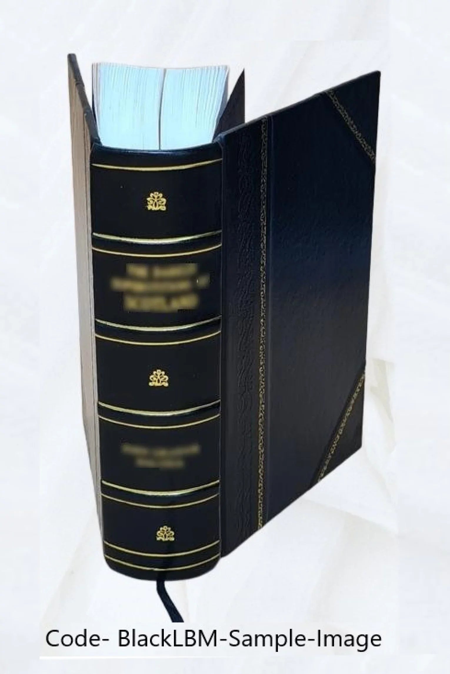 Dictionnaire des hérésies des erreurs et des schismes : ou mémoires pour servir a l'histoire des.... / par M. L'abbé [y] J. Jh Claris ; publié par l'Abbé Migne... Volume T. 1 1847 [Leather Bound]