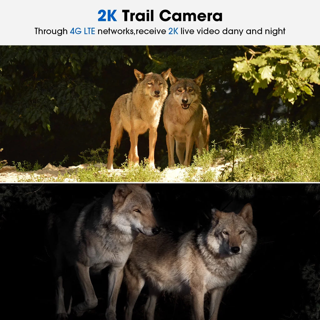 Cellular Trail Camera Wireless 4G , Solar Game Camera with 360°Pan 90°Tilt, 2K Night Vision, Live View, Waterproof, Cloud Storage,  Motion, No WiFi Hunting Security Cam with  & Card