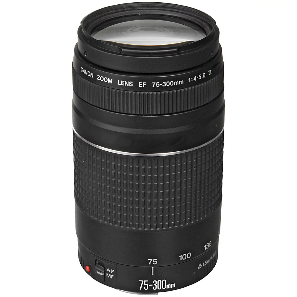 Canon  R6 Mirrorless Digital Camera with  24-105mm  + 75-300mm Lens + SanDisk 128GB Card + Case + ZeeTech Accessory