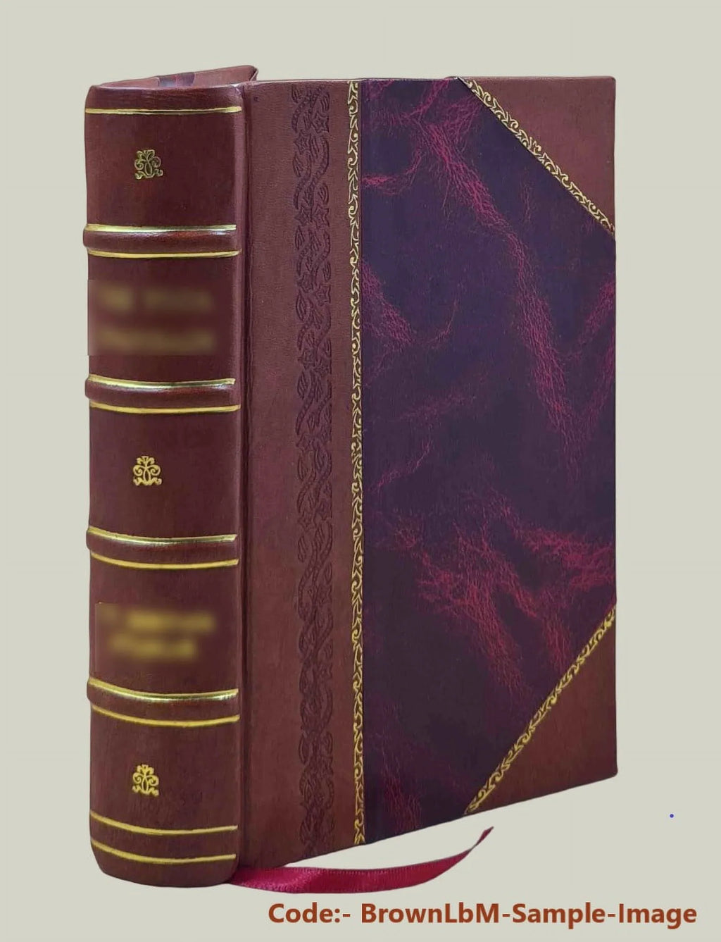 Mondo simbolico, o sia, Vniuersita' d'imprese scelte, spiegate, ed' illustrate con sentenze ed eruditioni sacre e profane 1653 [Leather Bound]