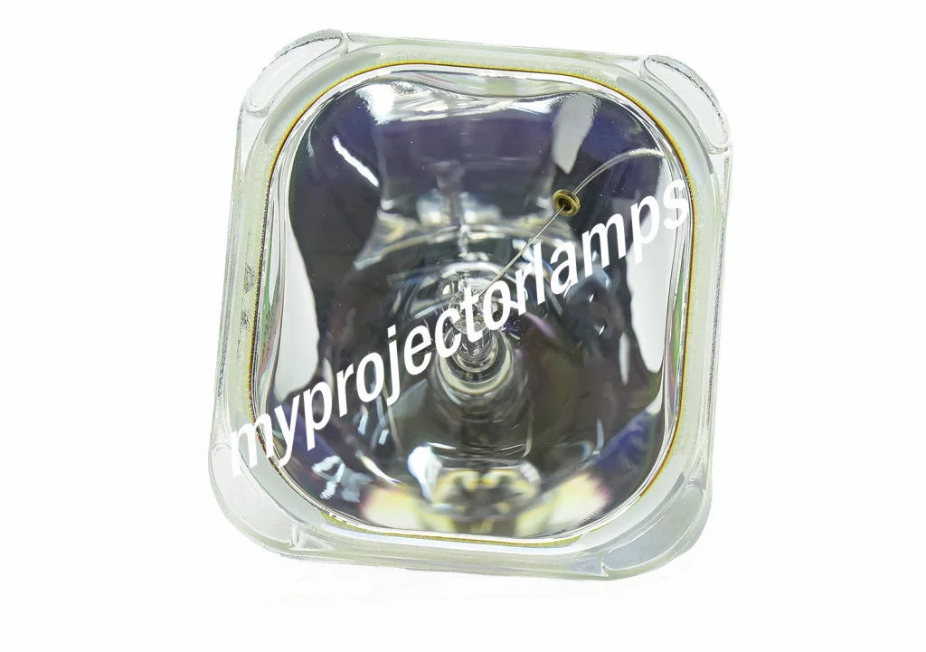 '-XG22 Bare Projector Lamp