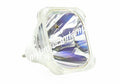 '-XG22 Bare Projector Lamp
