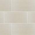 Focus Glacier 12 In. X 24 In. Glazed Porcelain Floor and Wall Tile