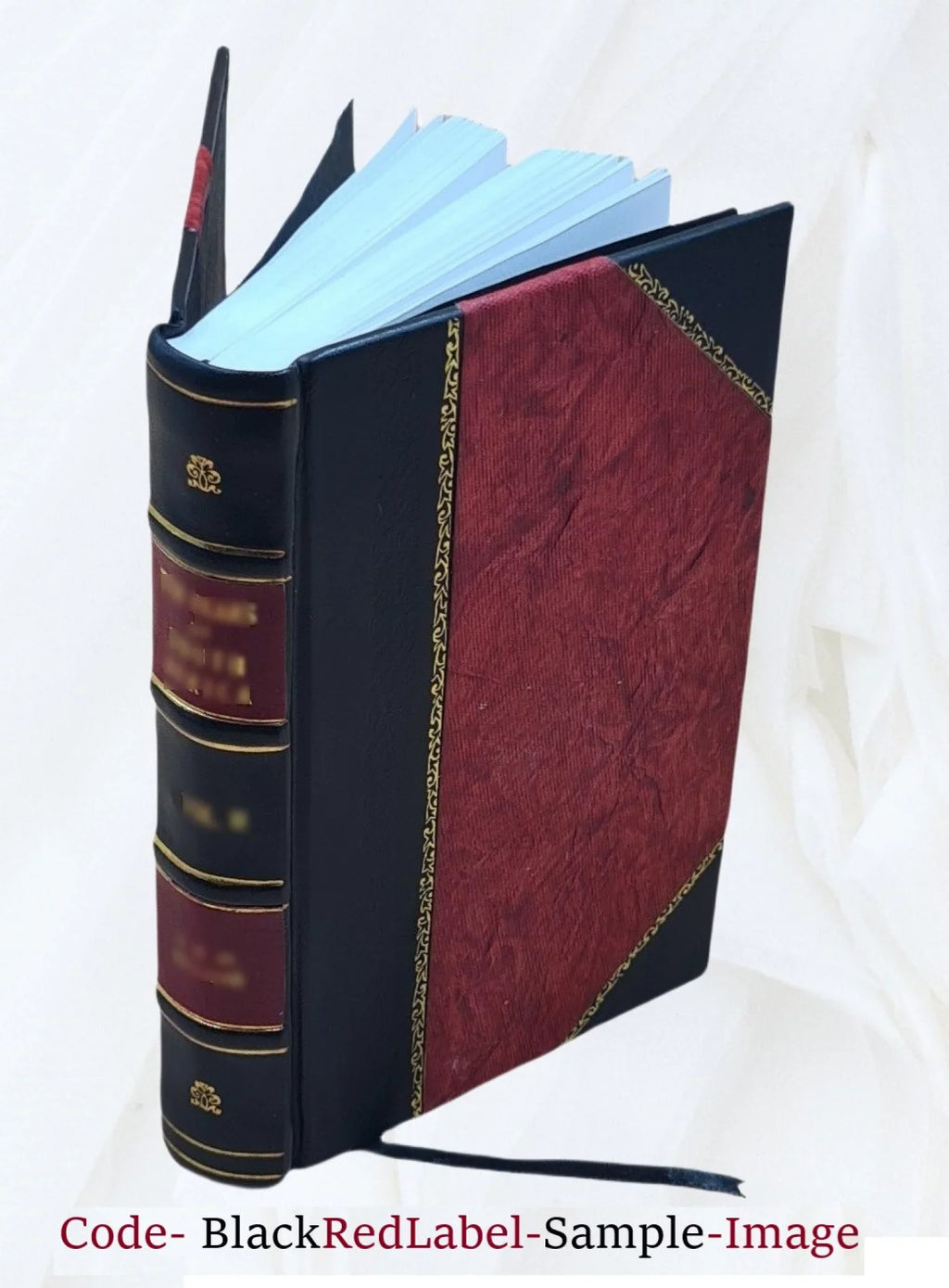 Sebastiani Corradi Commentarius, in quo M.T. Ciceronis De claris oratoribus liber, qui dicitur Brutus, & loci penè innumerabiles quum aliorum scriptorum, tum Ciceronis ipsius explicantur 1552 [Leather