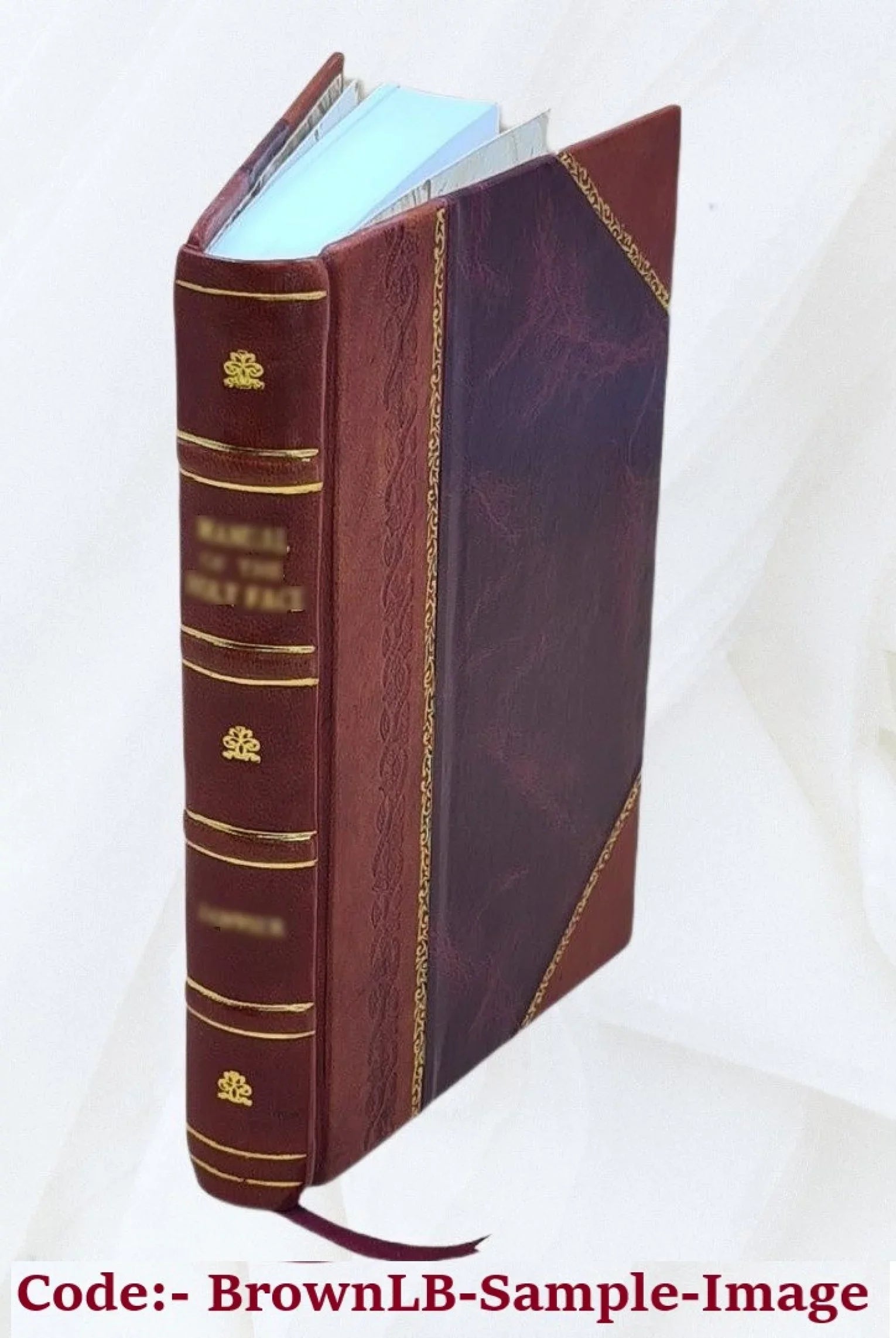 La "Petite Hermine" de Jacques Cartier, et diverses monographies historiques, par N.-E. Dionne. 1913 [Leather Bound]