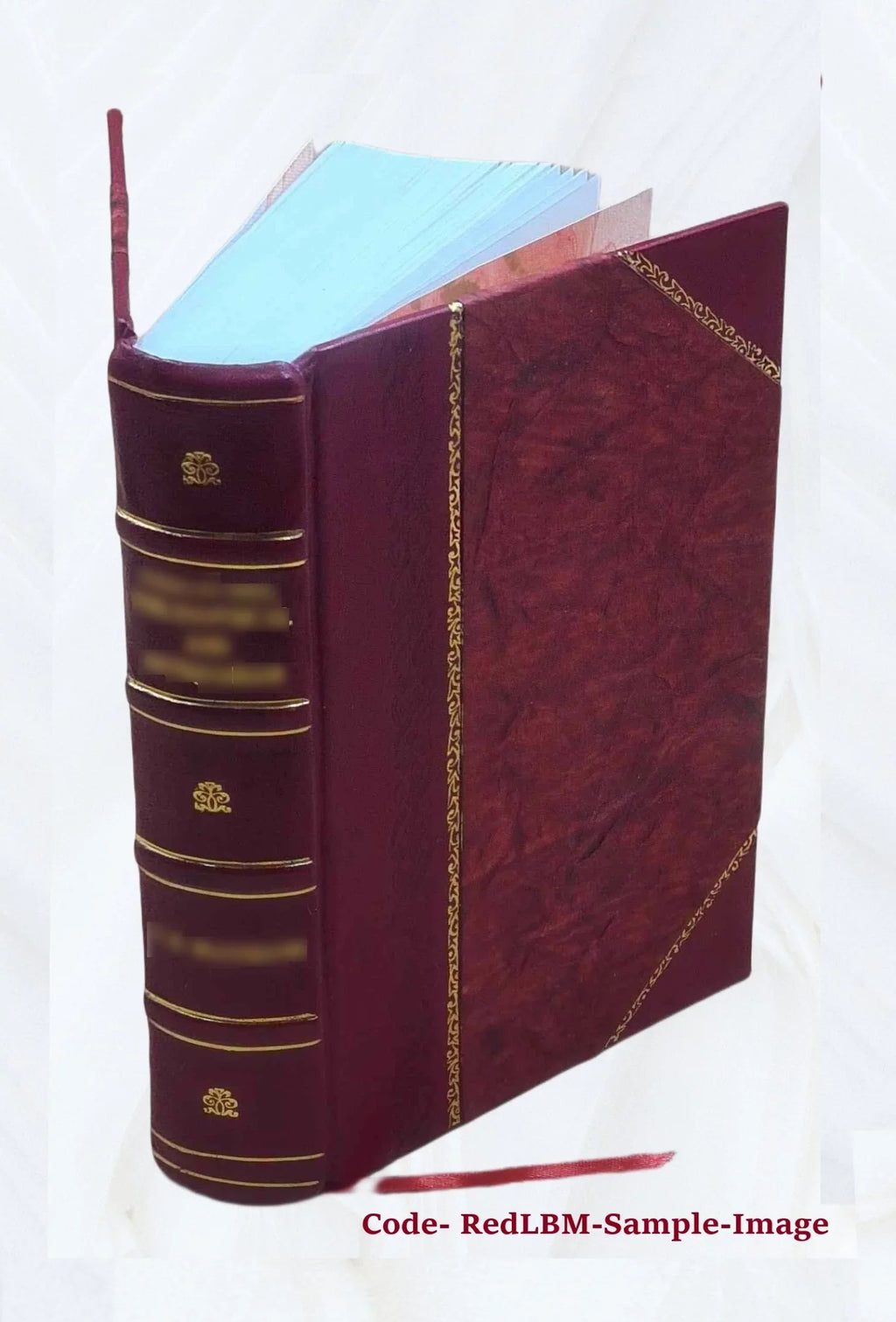 De claris Legum Interpretibus cura D.G. Hoffmanni. 1721 [Leather Bound]