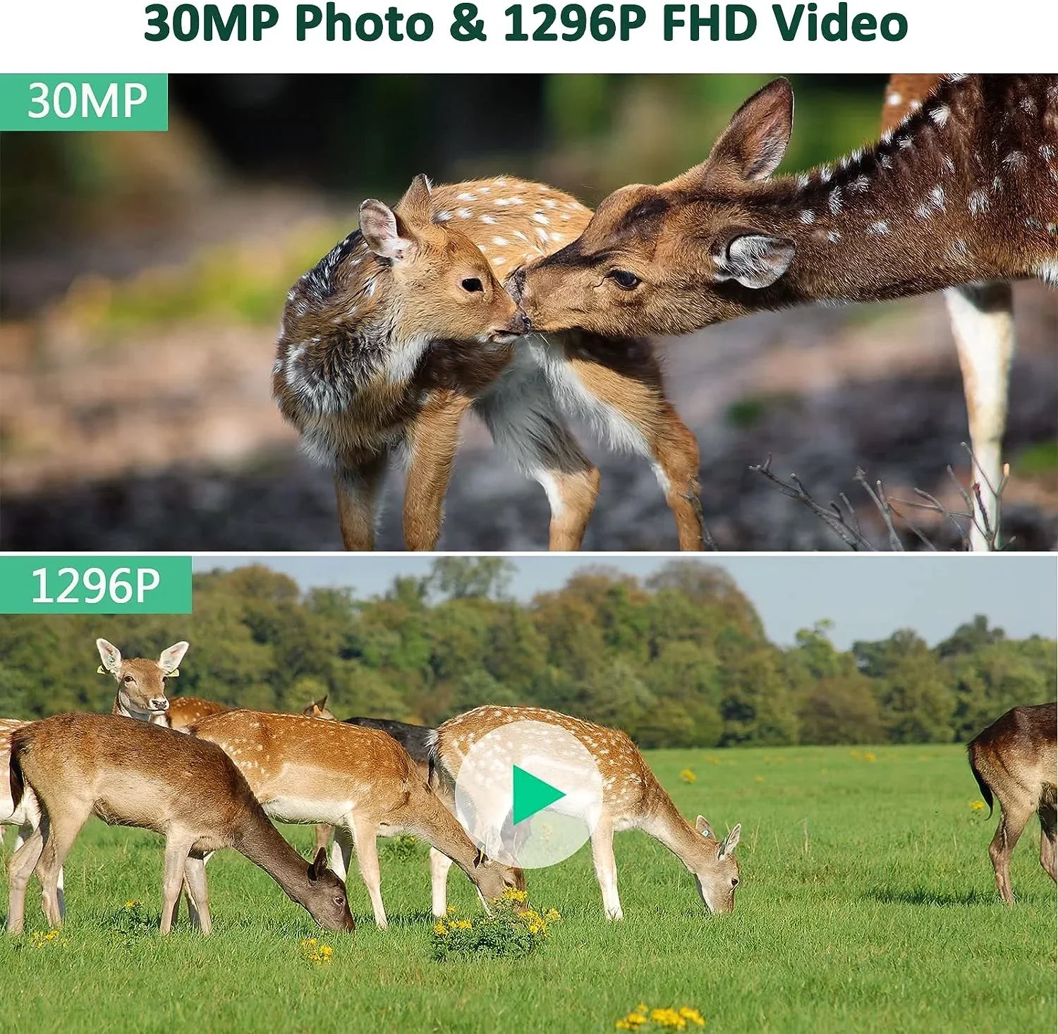 WiFi Trail Camera 30MP 1296P Bluetooth Hunting Game Camera with Infrared Night Vision Motion Activated Trail Camera with IP66 Waterproof for Wildlife Monitoring