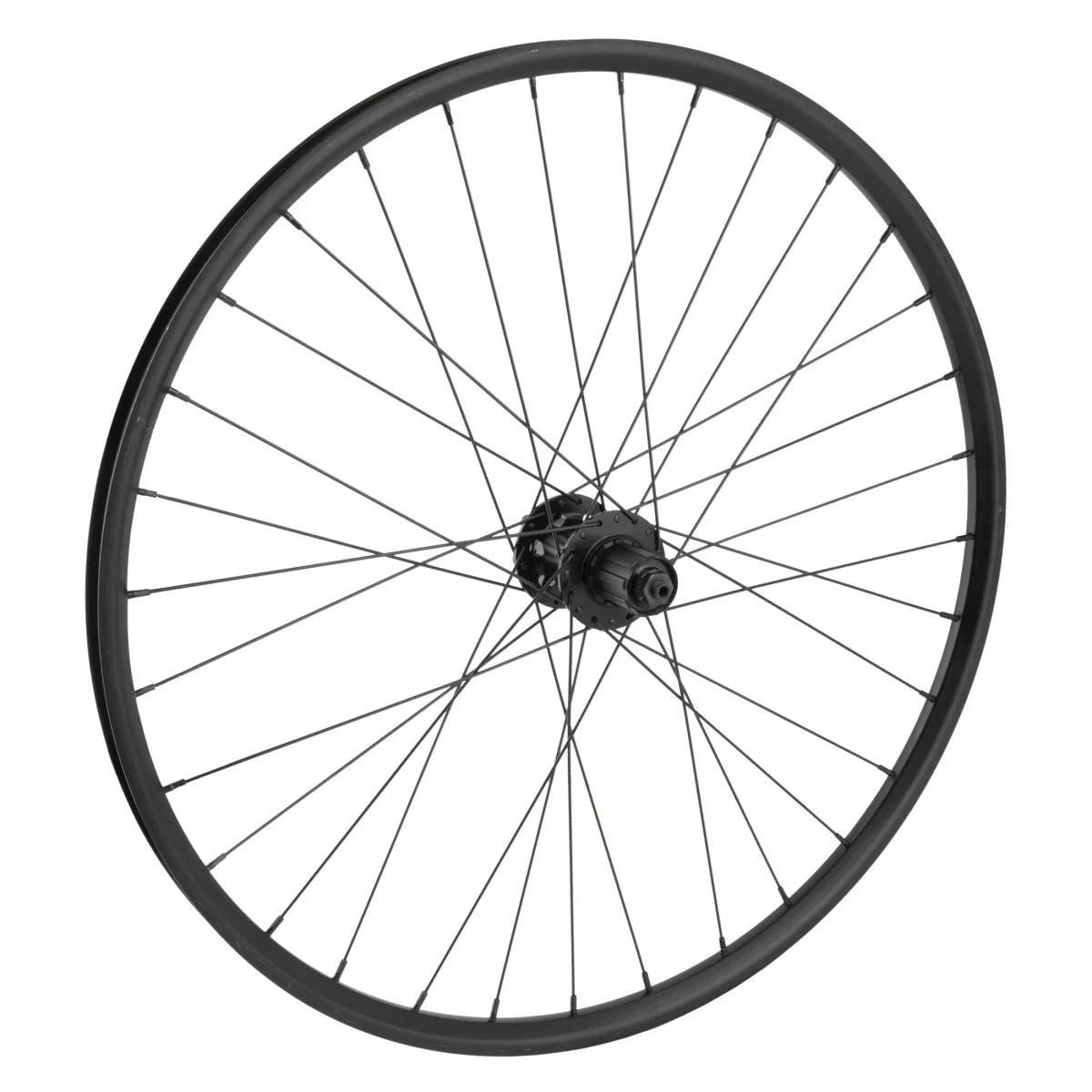 Wheel Master 26in Alloy Mountain Disc Double Wall 26in     2.0 i21 6B