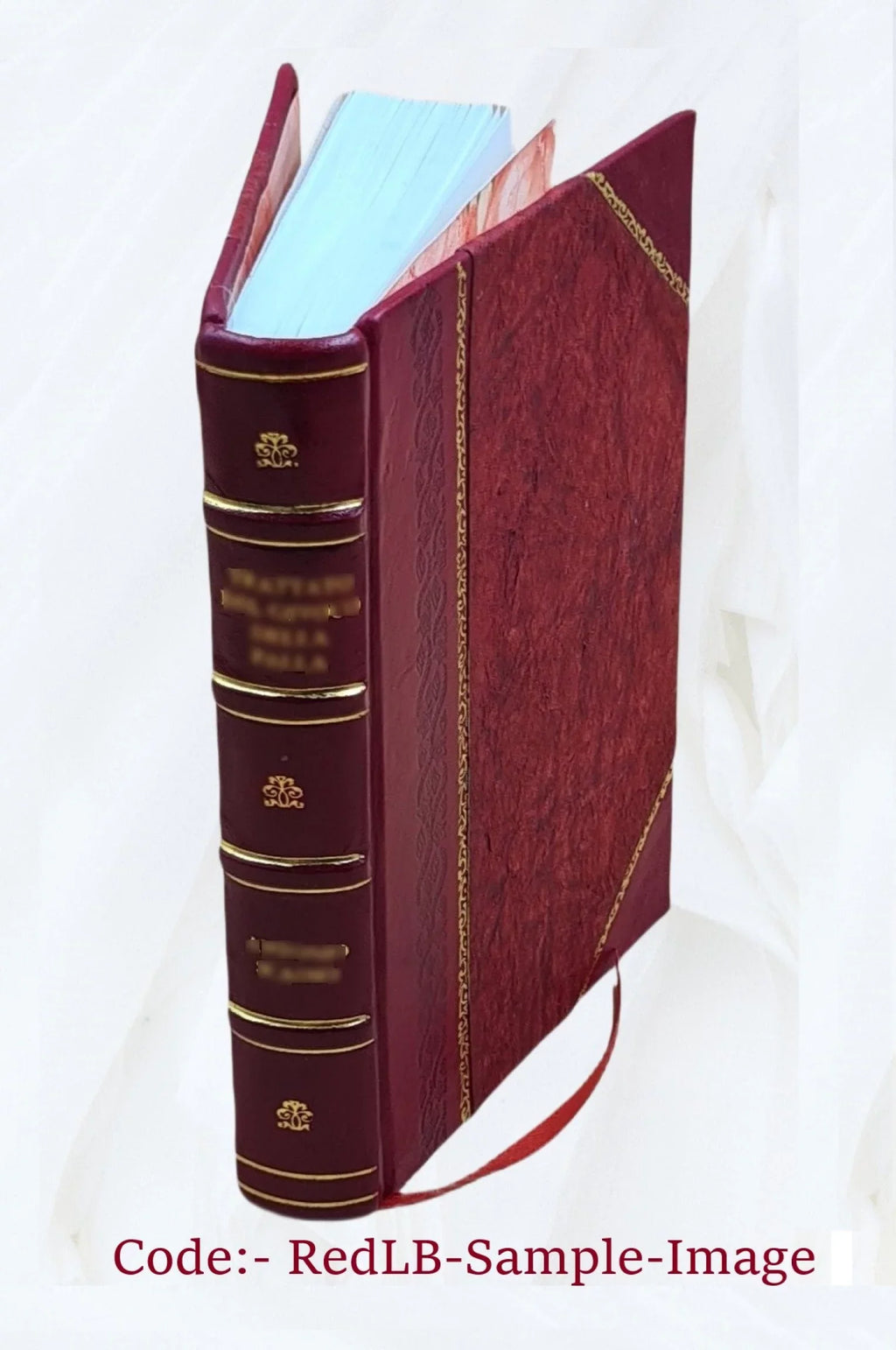 Memórias do Instituto Oswaldo Cruz. Volume v.11 1919 1919 [Leather Bound]