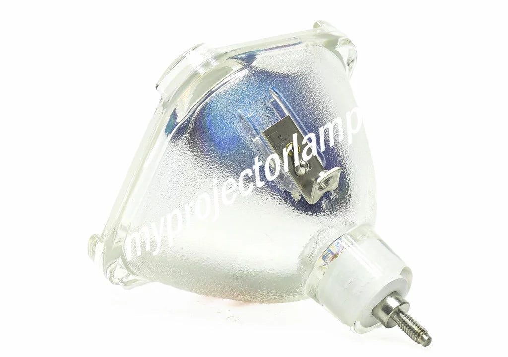 '-XG22 Bare Projector Lamp