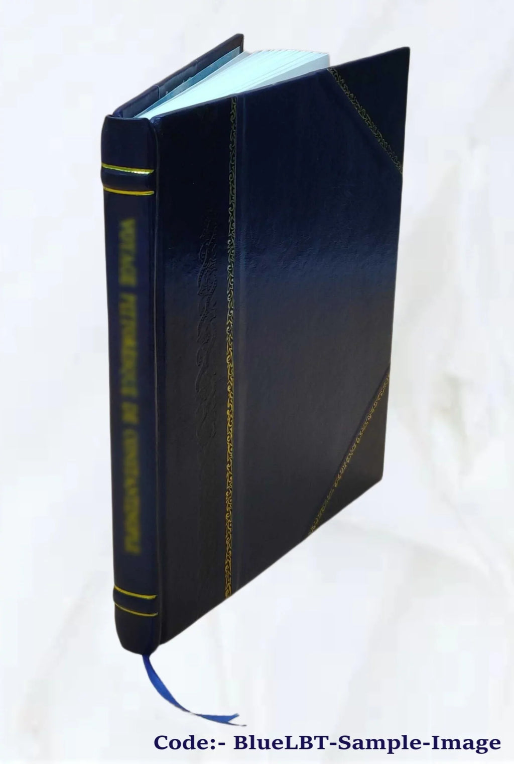 The Raven / by Edgar A. Poe. 1873 [Leather Bound]