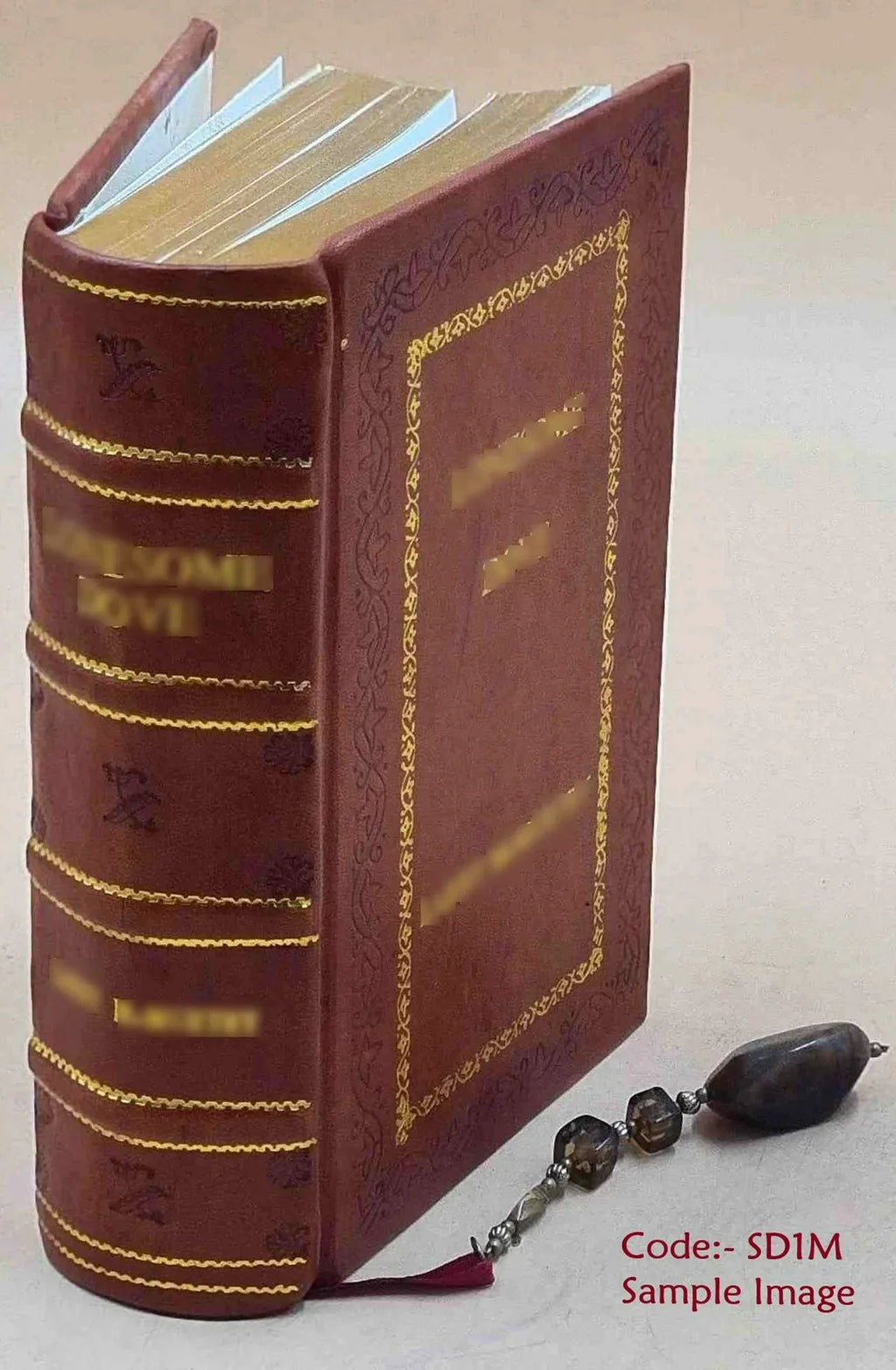Dictionnaire turc-franÃais a l'usage des agents diplomatiques et ... Volume 1 1835 [Premium Leather Bound]